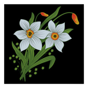 Tulips and Daffodils Flowers Black Background Poster