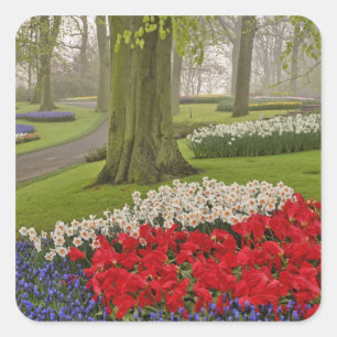 Tulips and daffodils, Keukenhof Gardens, Square Sticker