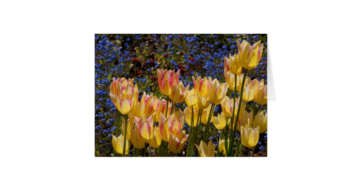 Tulips and Forget-me-nots Card | Zazzle