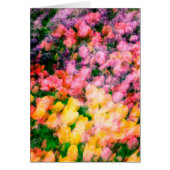 Tulips and Lilacs (Front)