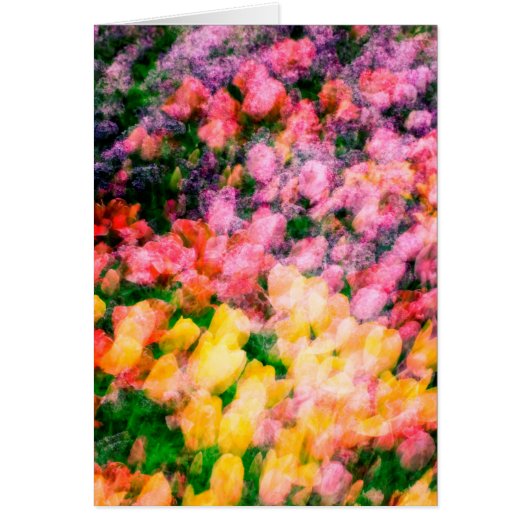Tulips and Lilacs Cards (Front)