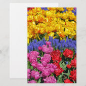 Tulips and muscari flowers (Front/Back)