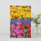 Tulips and muscari flowers (Standing Front)