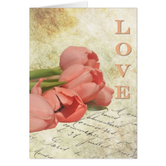 Tulips and Old Letter Cards (Front)