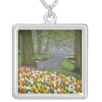Tulips and roadway, Keukenhof Gardens, Lisse,