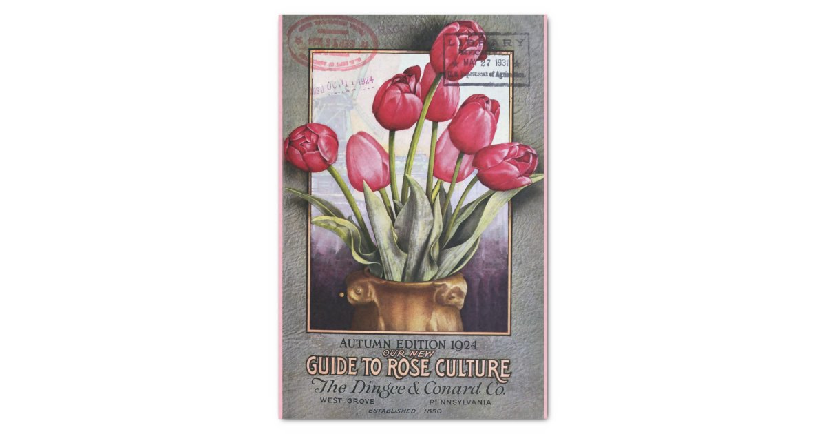 Tulips and Roses Catalog 10" X 15" Tissue Paper Zazzle