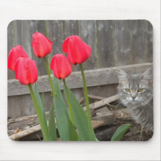 Tulips and the Kitten Mouse Pad