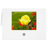 Tulips At Elizabeth Park (Back Horizontal)