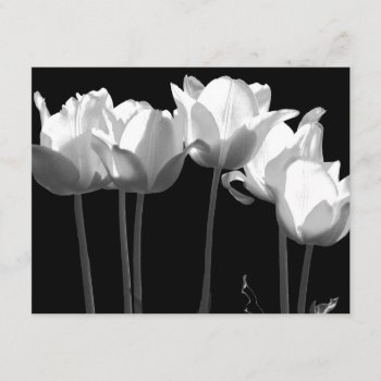 Tulips  B&w Wedding Invitation by ArtByApril at Zazzle