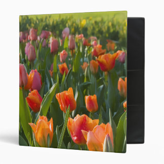 Tulips Binder