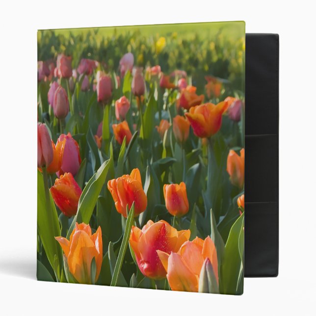 Tulips Binder (Front/Inside)