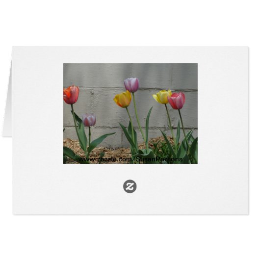 Tulips & Birdbath, Thinking of "YOU" (Back Horizontal)