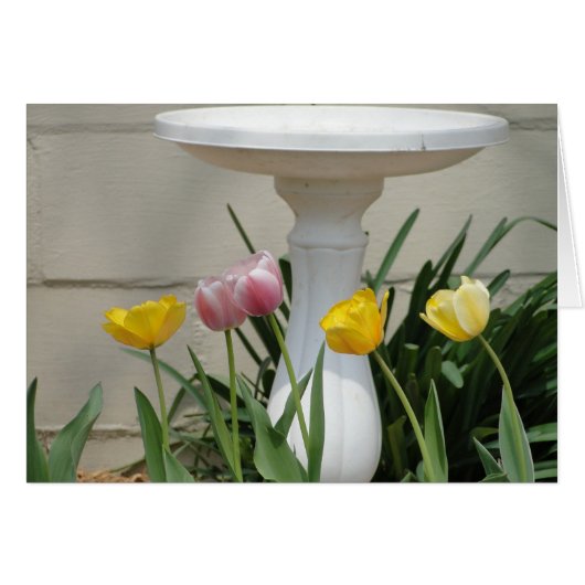Tulips & Birdbath, Thinking of "YOU" (Front Horizontal)