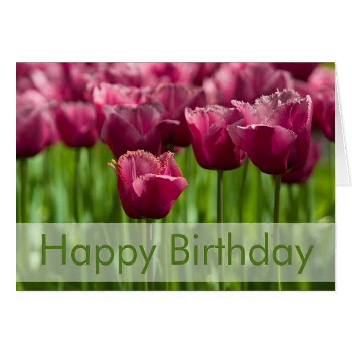 Tulips Birthday Card  Geburtstagskarte Tulpen