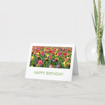 Tulips Birthday Cards by CarriesCamera at Zazzle