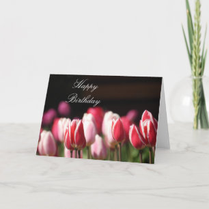 Tulips Birthday or Greeting card. Customize Card