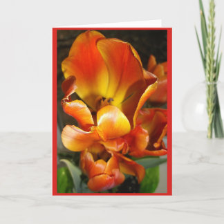 TULIPS Blank note card