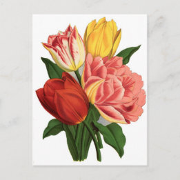 tulips blossoms vintage vines beautiful flowers postcard