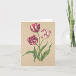 Tulips botanical art letterpress thank you card