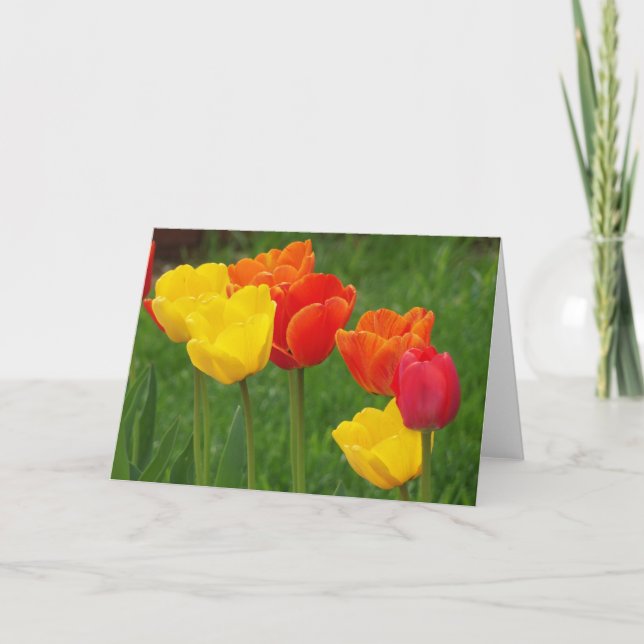 Tulips Brights Card (Front)