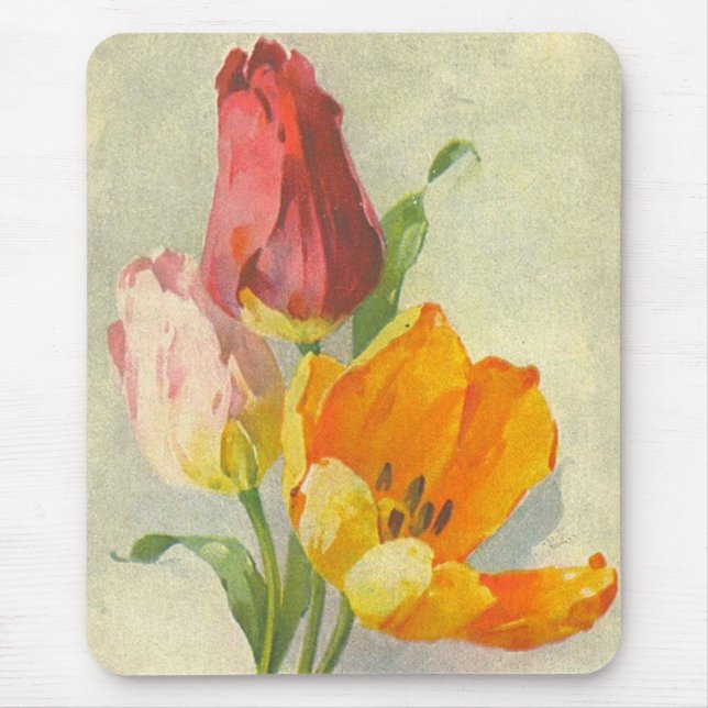 Tulips by Catherine Klein Mouse Pad (Front)