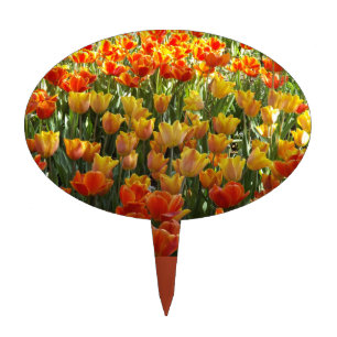 Tulips Cake Topper