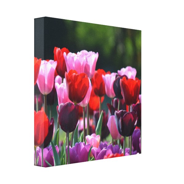 Red Tulips Art & Wall Décor | Zazzle