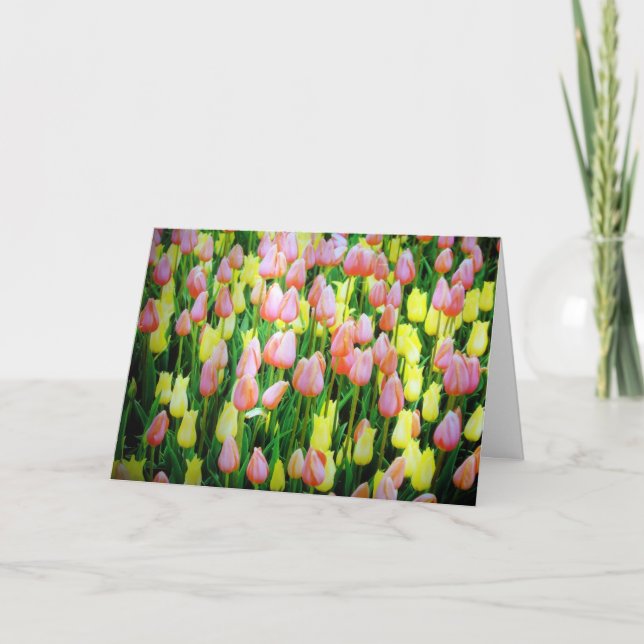 tulips card (Front)