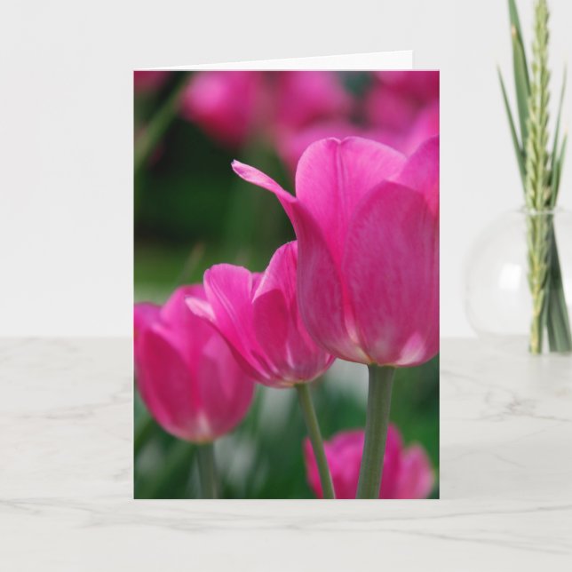 Tulips Card (Front)