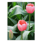 Tulips card (Front)