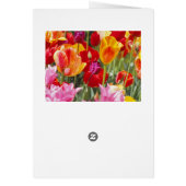 Tulips card (Back)