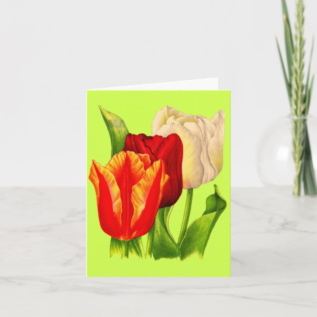 tulips card (Front)