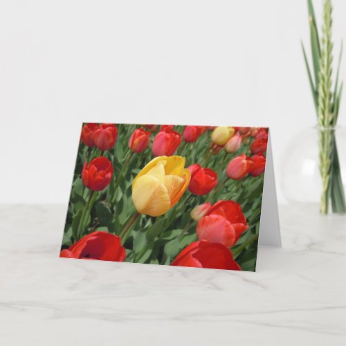 TULIPS CARD