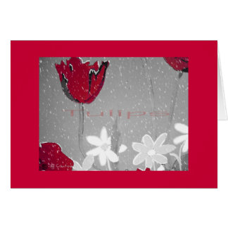 "Tulips" Cards