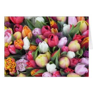 Tulips Cards