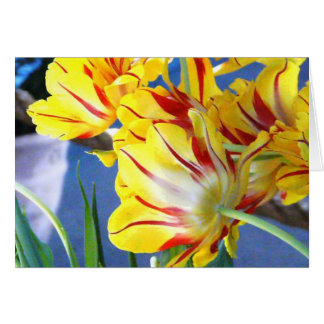 Tulips Cards