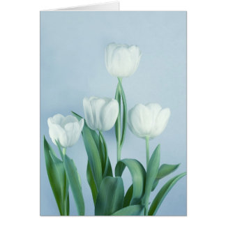Tulips Cards
