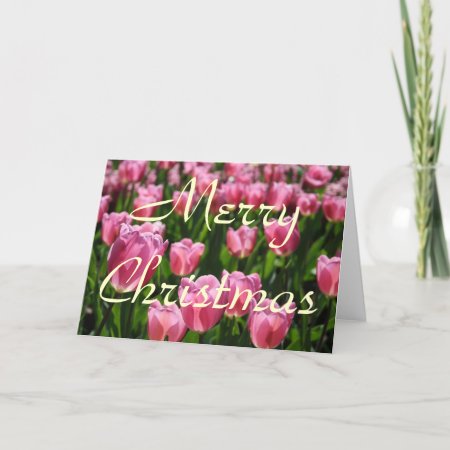 Tulips Christmas Holiday Card