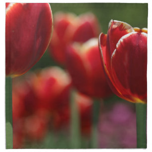 Tulips Cloth Napkin