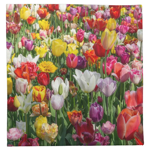 tulips cloth napkin (Front)