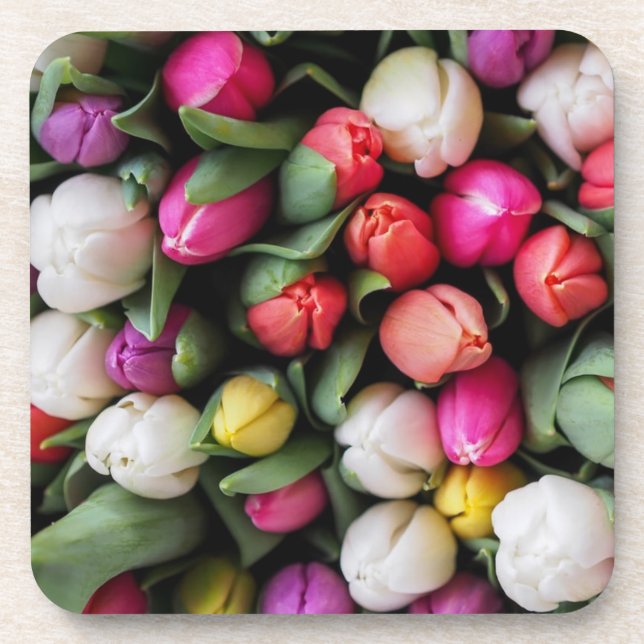 Tulips Colorful Flowers Easter Spring Beverage Coaster (Front)