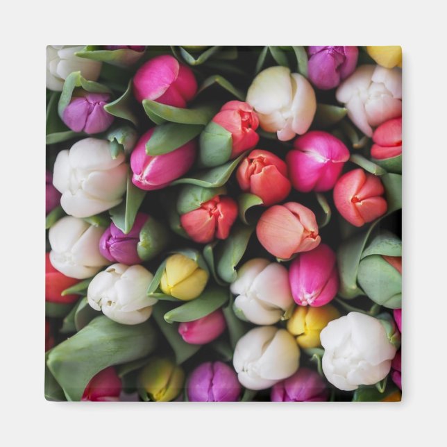 Tulips Colorful Flowers Easter Spring Magnet (Front)