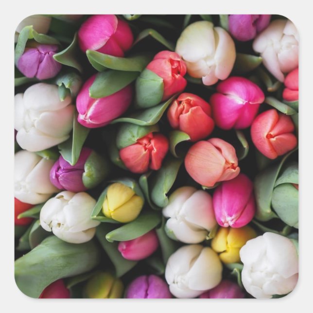 Tulips Colorful Flowers Easter Spring Square Sticker (Front)