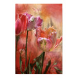 Tulips - Colors Of Love Art Poster/Print Poster
