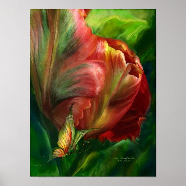 Tulips-Colors Of Paradise Poster (Front)