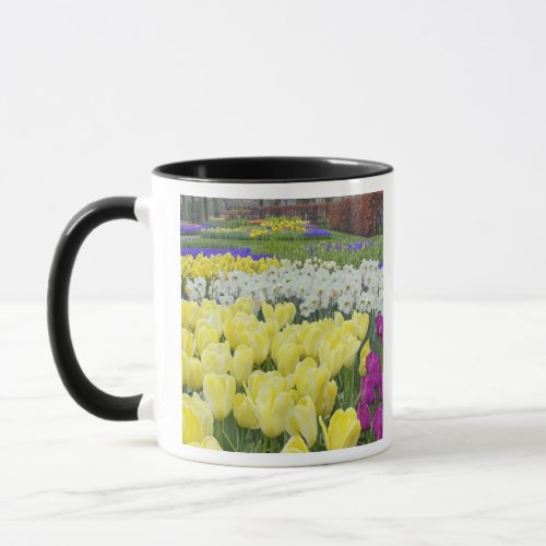 Tulips daffodils and Grape Hyacinth flowers Mug