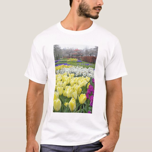 Tulips, daffodils, and Grape Hyacinth flowers, T-Shirt (Front)