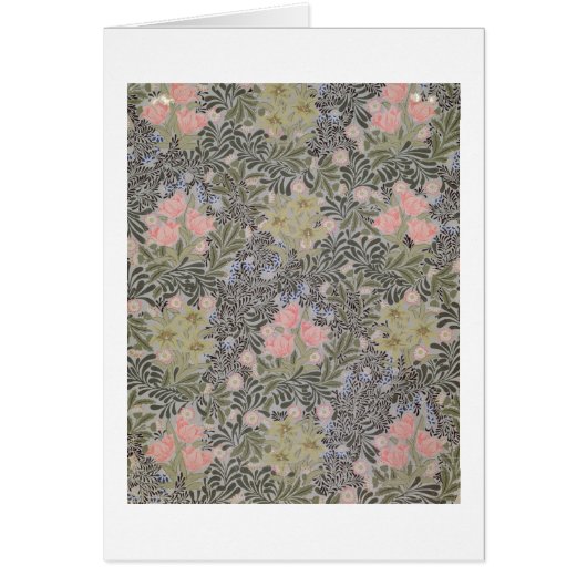 Tulips, Daisies and Honeysuckle (Front)