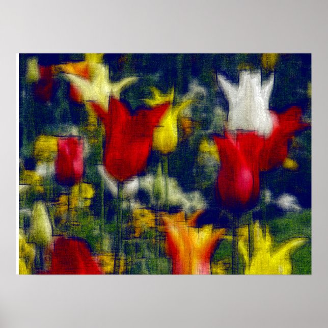 Tulips digital effect of style "impression" poster (Front)
