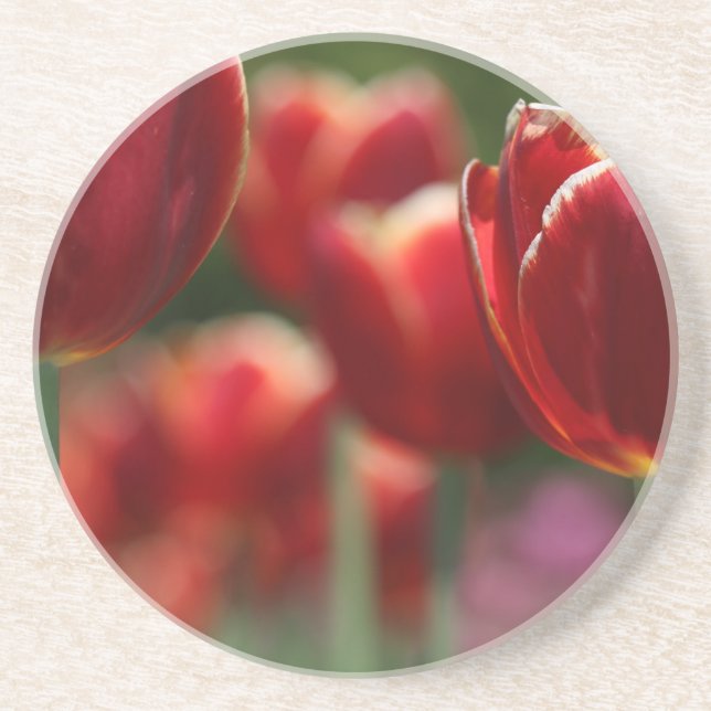 Tulips Drink Coaster (Front)